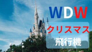 11月12月｜WDWへの飛行機代はいくら？フロリダのクリスマスは特別！2025